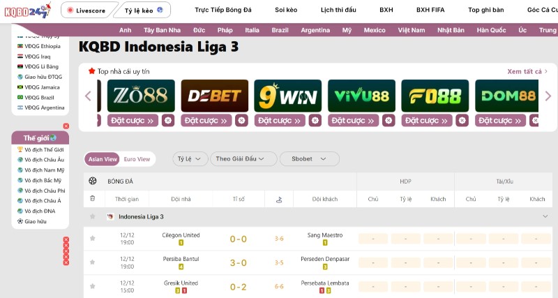Indonesia Liga 3